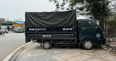 taxi tải kiến vàng