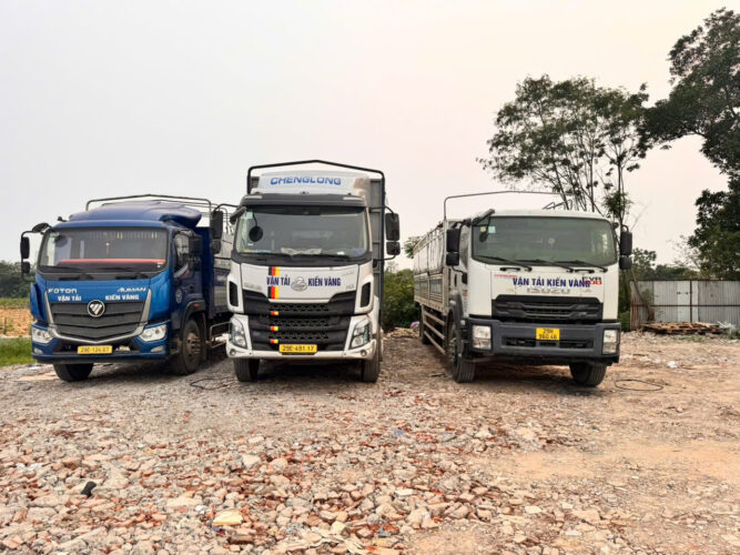 Vận tải kiến vàng