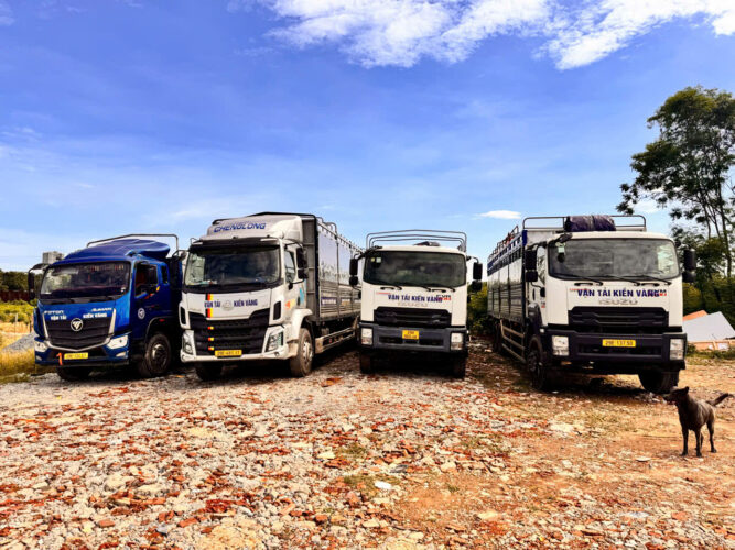 xe chở hàng 10 tấn