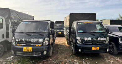 taxi tải kiến vàng